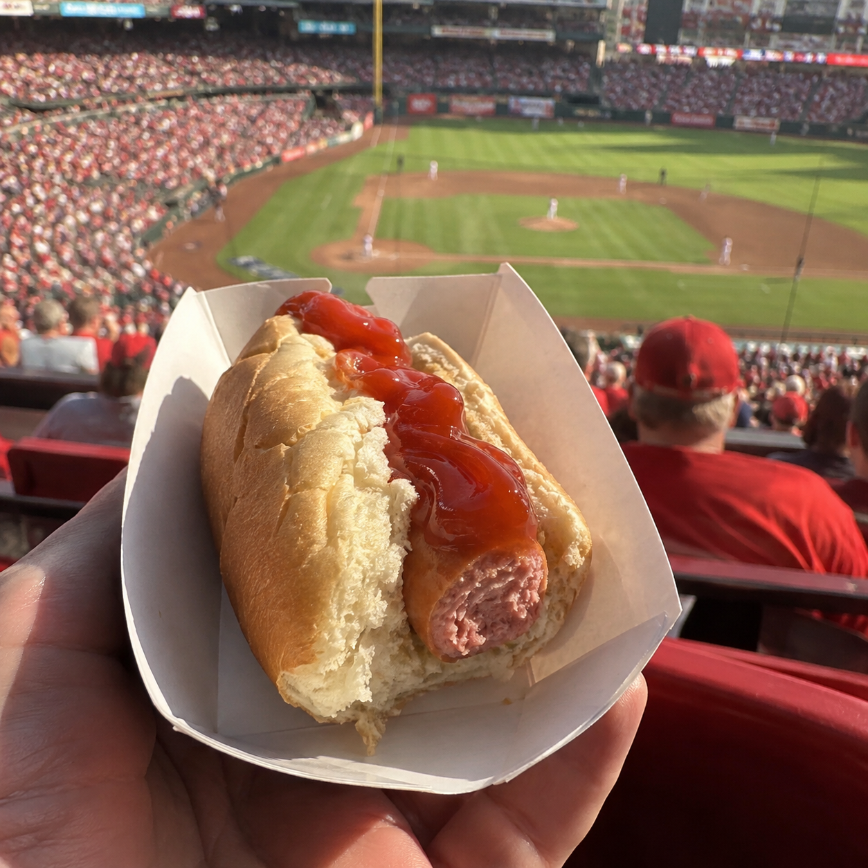 POV of a small remaining hot dog in a tray at a baseball stadium